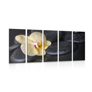 5-dielny obraz Zen kamene so žltou orchideou