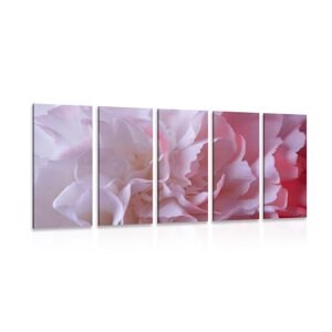 5-dielny obraz lupienky ružového karafiátu