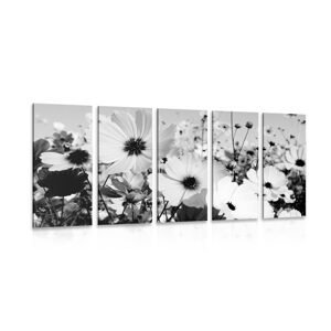 5-dielny obraz lúka jarných kvetov v čiernobielom prevedení
