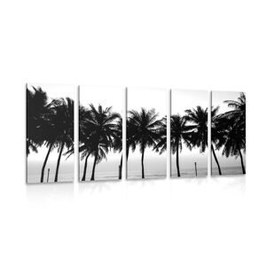 5-dielny obraz západ slnka nad palmami v čiernobielom prevedení