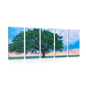 5-dielny obraz osamelý dub