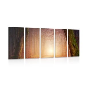 5-dielny obraz les v rozprávkových farbách