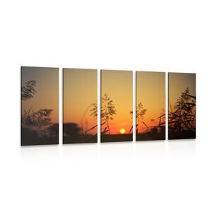 5-dielny obraz steblá trávy pri západe slnka
