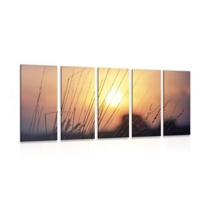 5-dielny obraz východ slnka nad lúkou