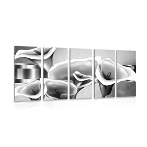 5-dielny obraz elegantné kvety kaly v čiernobielom prevedení