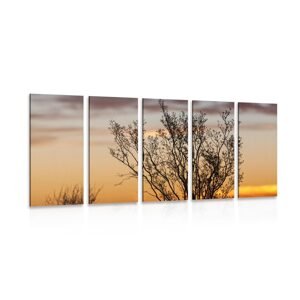 5-dielny obraz konáriky v západe slnka