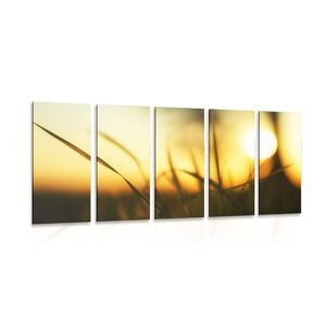 5-dielny obraz  zapadajúce slnko v tráve
