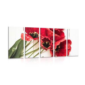 5-dielny obraz rozkvitnuté červené tulipány