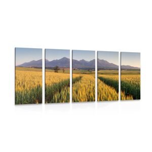 5-dielny obraz západ slnka nad pšeničným poľom