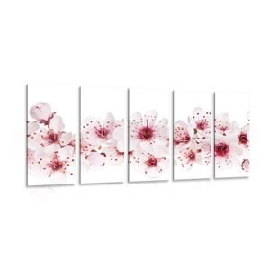 5-dielny obraz čerešňové kvety