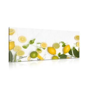 Obraz mix citrusových plodov