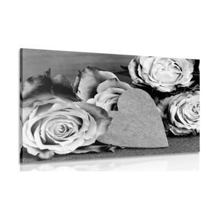 Obraz valentínske ruže v čiernobielom prevedení