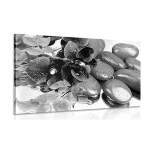 Obraz kvitnúca orchidea a wellness kamene v čiernobielom prevedení