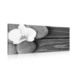 Obraz wellness kamene a orchidea na drevenom pozadí v čiernobielom prevedení
