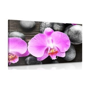 Obraz nádherná kompozícia orchidea a kamene