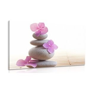 Obraz balans kameňov a ružové orientálne kvety