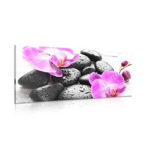 Obraz kúzelná súhra kameňov a orchidey