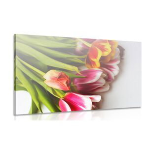 Obraz kytica tulipánov v pestrých farbách