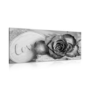 Obraz ruža v čiernobielom prevedení Love