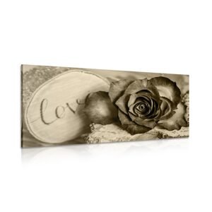 Obraz ruža v sépiovom prevedení Love