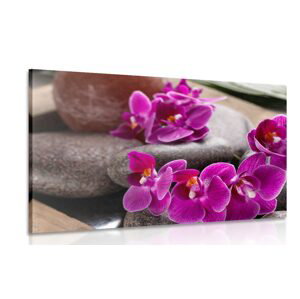 Obraz nádherná orchidea a Zen kamene
