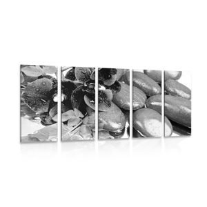 5-dielny obraz kvitnúca orchidea a wellness kamene v čiernobielom prevedení