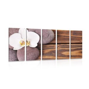 5-dielny obraz wellness kamene a orchidea na drevenom pozadí
