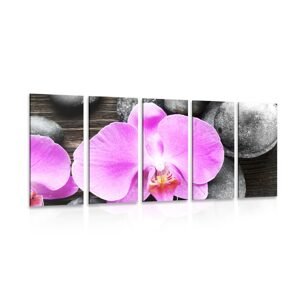 5-dielny obraz nádherná orchidea a kamene
