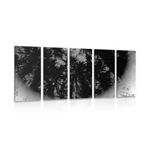 5-dielny obraz čiernobiely tropický les