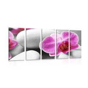 5-dielny obraz kvety orchidey na bielych kameňoch