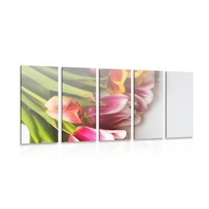 5-dielny obraz kytica farebných tulipánov