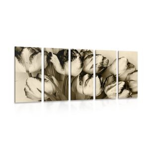 5-dielny obraz jarné tulipány v sépiovom prevedení