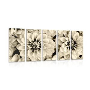 5-dielny obraz kvety dálie v sépiovom prevedení