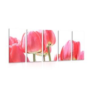 5-dielny obraz červené poľné tulipány