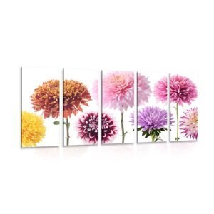 5-dielny obraz kvety dálie v rozmanitom dizajne
