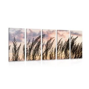 5-dielny obraz tráva pri zapadajúcom slnku