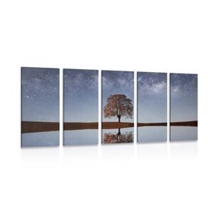 5-dielny obraz hviezdna obloha nad osamelým stromom