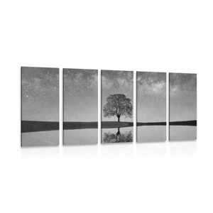 5-dielny obraz hviezdna obloha nad osamelým stromom v čiernobielom prevedení