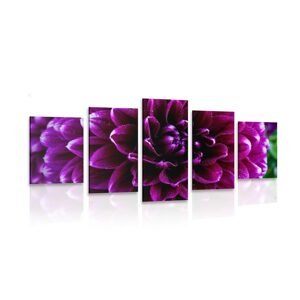5-dielny obraz purpurovo-fialový kvet