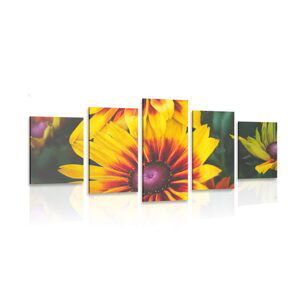 5-dielny obraz atraktívne dvojfarebné kvety