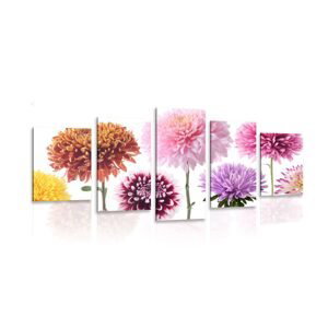 5-dielny obraz kvety dálie v rozmanitom dizajne
