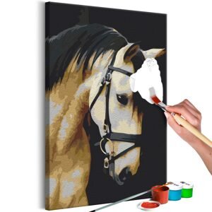 Obraz maľovanie podľa čísiel nádherný portrét koňa - Horse Portrait