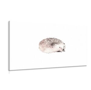 Obraz roztomilý ježko