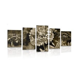 5-dielny obraz nádherné kvety v sépiovom prevedení