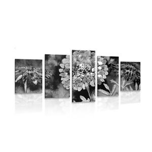 5-dielny obraz nádherné kvety v čiernobielom prevedení