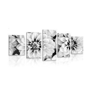 5-dielny obraz kvety dálie v čiernobielom prevedení