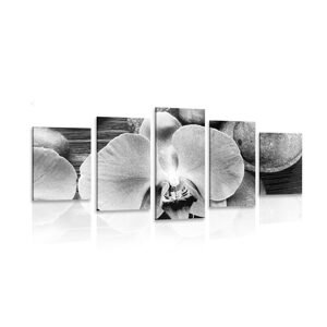 5-dielny obraz nádherná orchidea a kamene v čiernobielom prevedení