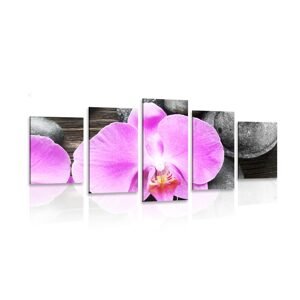 5-dielny obraz nádherná orchidea a kamene