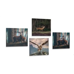Set obrazov krása lesných zvierat