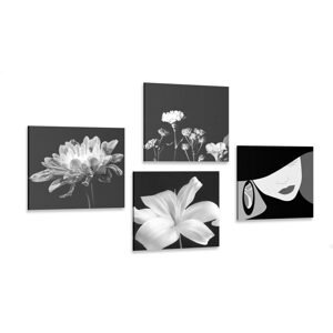 Set obrazov elegancia ženy a kvetov v čiernobielom prevedení